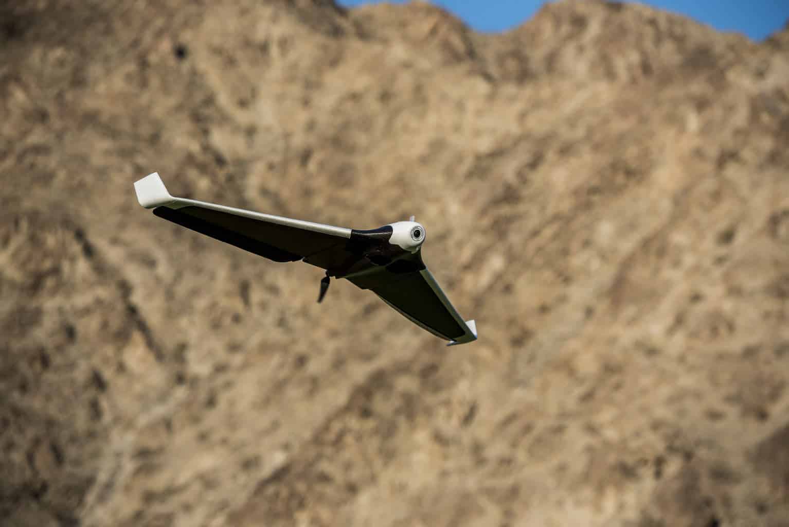 Parrot disco review discount