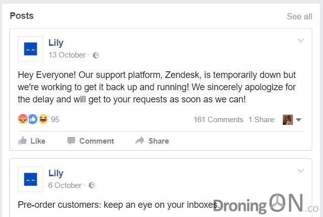 The last two posts submitted by Lily to their Facebook page, over 2 months now.
