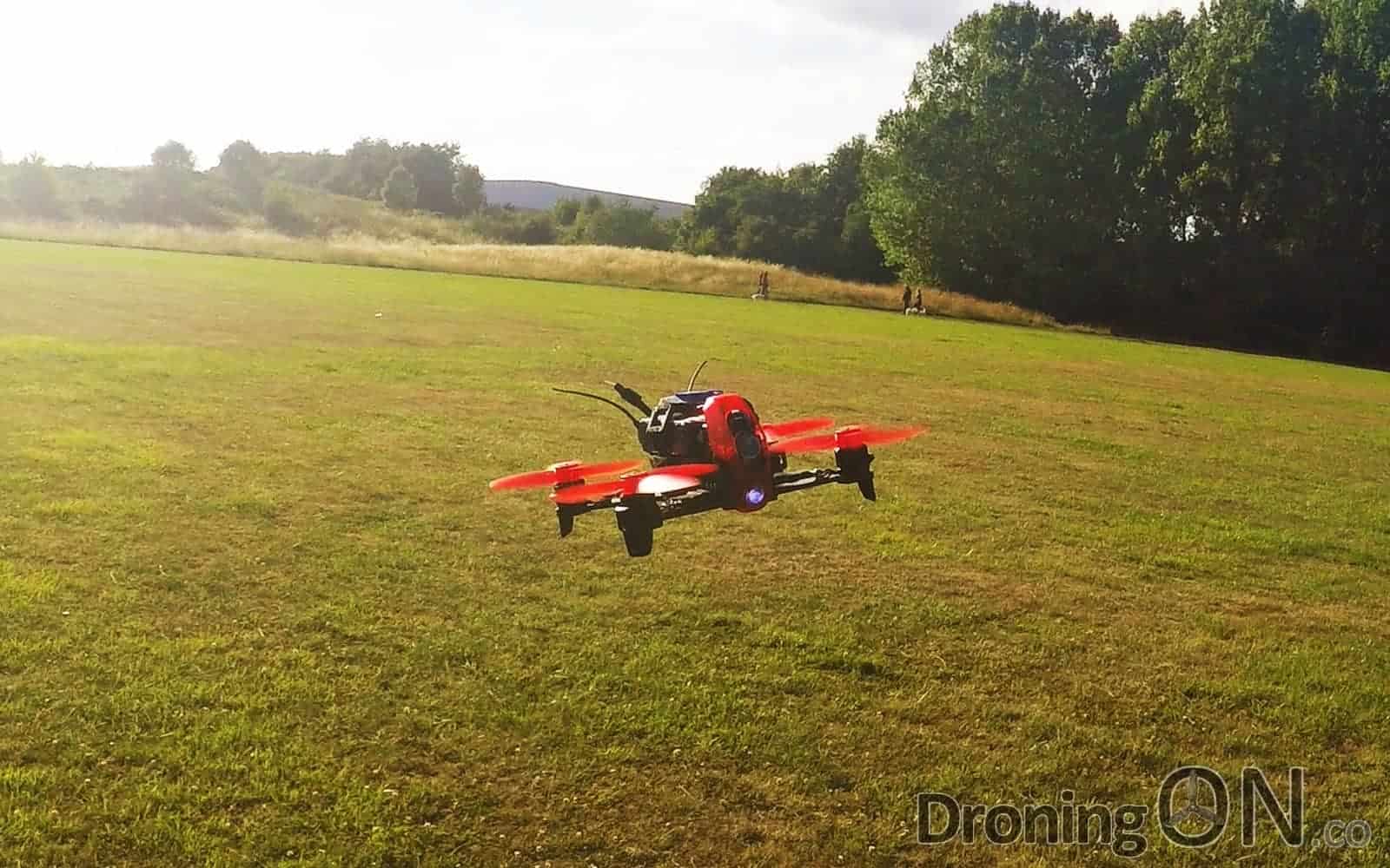 Walkera rodeo 110 sales betaflight